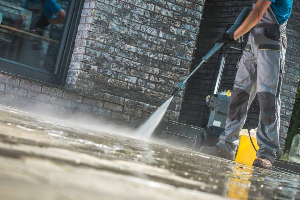 Animal Enclosure Cleaning in Westville, IL